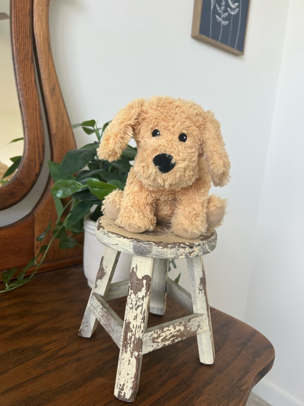 Golden Dog Warmies jr plush